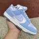 Nike Dunk Low Blue Airbrush Canvas