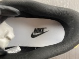 Nike Dunk SB Low Shoes