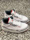 Jordan 3 Retro Wings