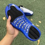 Air Jordan 12 Blueberry