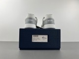Dior b27 Low Shoes