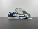 Dior B27 Low White Blue Denim