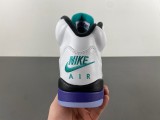 Jordan 5 Retro Grape (2025)