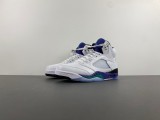 Jordan 5 Retro Grape (2025)