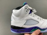 Jordan 5 Retro Grape (2025)
