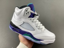 Jordan 5 Retro Grape (2025)