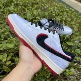 Nike Dunk Low Shoes