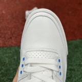 Jordan 3 Retro Lucky Shorts