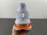 Nike Air Zoom Pegasus Premium Airscape