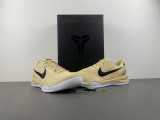 Nike Kobe 8 Protro TB Champagne Gold