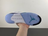 Jordan 5 Retro Grape (2025) (GS)