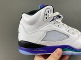 Jordan 5 Retro Grape (2025) (GS)
