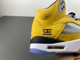 Air Jordan 5 Tokyo GS