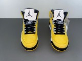 Air Jordan 5 Tokyo GS