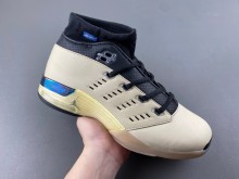 Jordan 17 Retro Low SP Infinite Archives