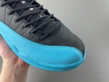 Air Jordan 12 Gamma Blue