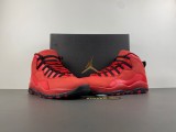 Steve Wiebe x Air Jordan 10 HOH