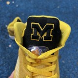 Air Jordan 5 Michigan