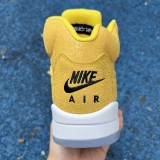 Air Jordan 5 Michigan