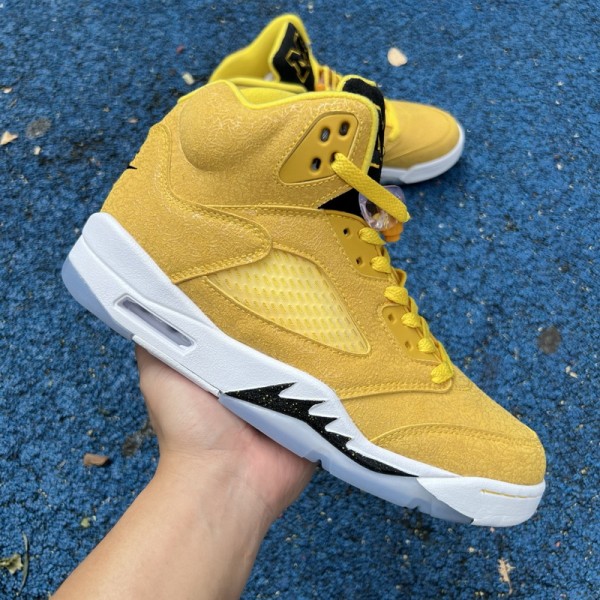 Air Jordan 5 Michigan