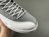 Air Jordan 12 STEALTH