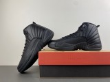 Air Jordan 12 Retro Shoes