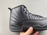 Air Jordan 12 Retro Shoes