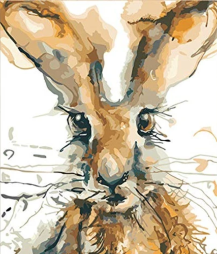 Rabbit Paint By Numbers Kits UK VM93071