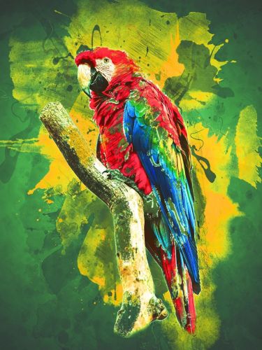 Parrot Diy Paint By Numbers Kits UK For Adult Kids PX6561472