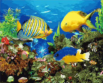Fish Diy Paint By Numbers Kits UK For Adult Kids GX23081