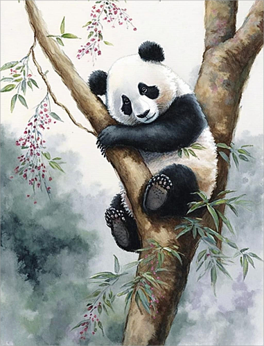 Panda Diy Paint By Numbers Kits UK For Adult Kids MJ8081