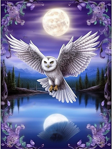 Owl Paint By Numbers Kits UK MJ9764