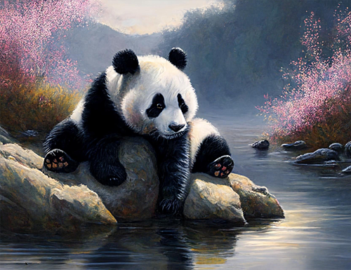 Panda Diy Paint By Numbers Kits UK For Adult Kids MJ8100