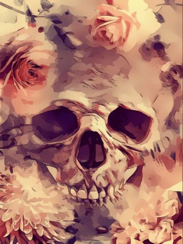 Skull Diy Paint By Numbers Kits UK For Adult Kids PX3351312