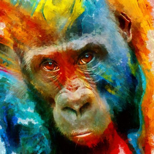 Monkey Paint By Numbers Kits UK SS2023079807