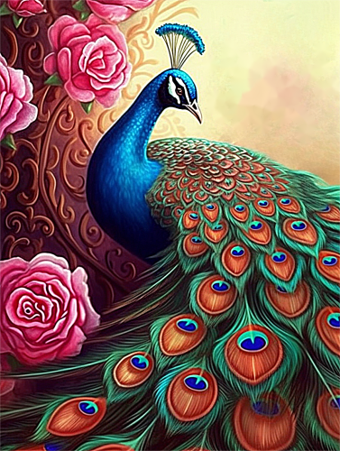 Peacock Paint By Numbers Kits UK MJ1622