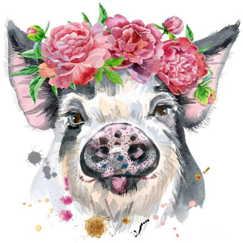 Pig Diy Paint By Numbers Kits UK For Adult Kids DE193774114