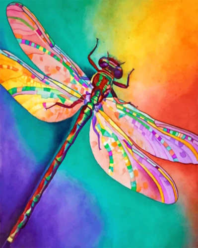 Dragonfly Diy Paint By Numbers Kits UK For Adult Kids INT5622