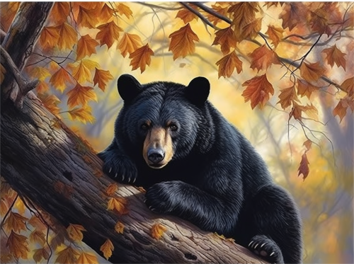 Bear Paint By Numbers Kits UK MJ2209