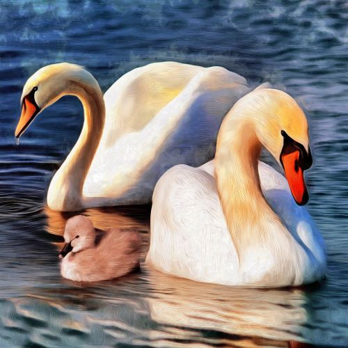 Swan Diy Paint By Numbers Kits UK For Adult Kids SS2017463936