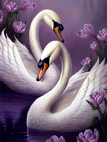 Swan Paint By Numbers Kits UK MJ9890
