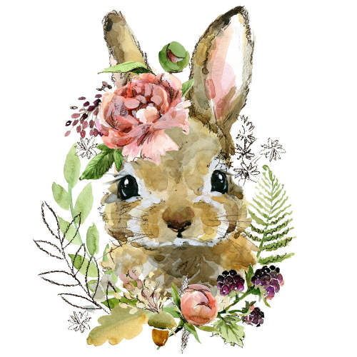 Rabbit Paint By Numbers Kits UK DS176771034