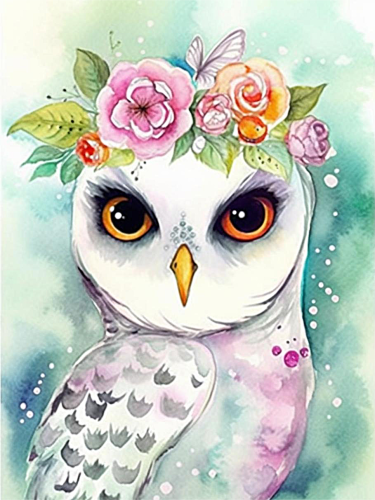 Owl Paint By Numbers Kits UK MJ9799