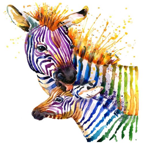 Zebra Paint By Numbers Kits UK SS1108484678