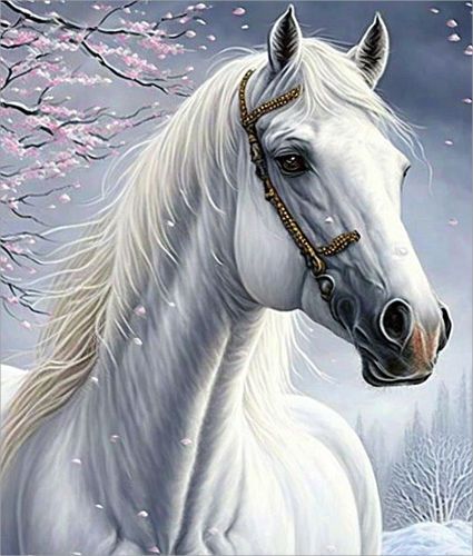 Horse Paint By Numbers Kits UK MJ9388