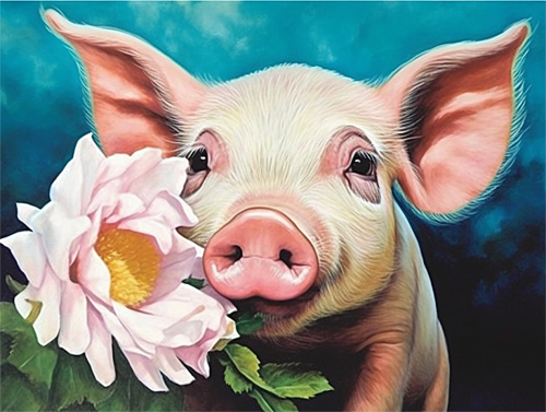 Pig Paint By Numbers Kits UK MJ8199