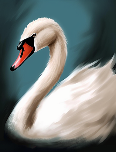 Swan Paint By Numbers Kits UK MJ9886