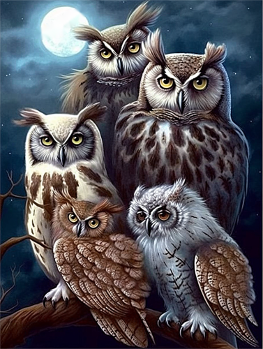 Owl Paint By Numbers Kits UK MJ9762