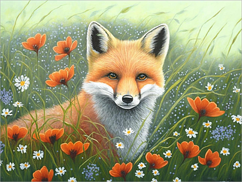 Fox Diy Paint By Numbers Kits UK For Adult Kids MJ1838
