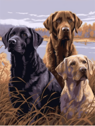 Dog Paint By Numbers Kits UK MJ9064